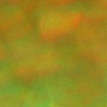 Bokeh-534